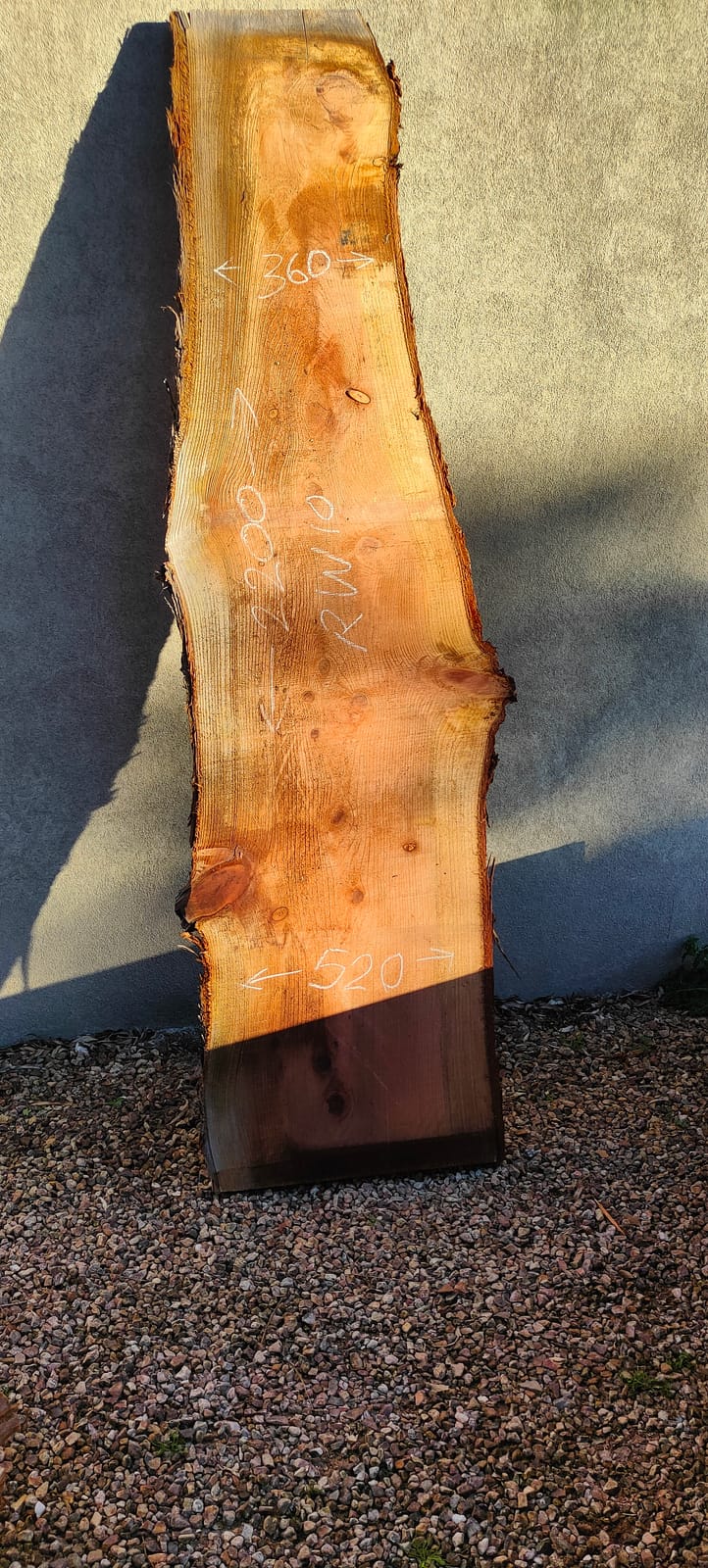 Redwood timber slab RW10