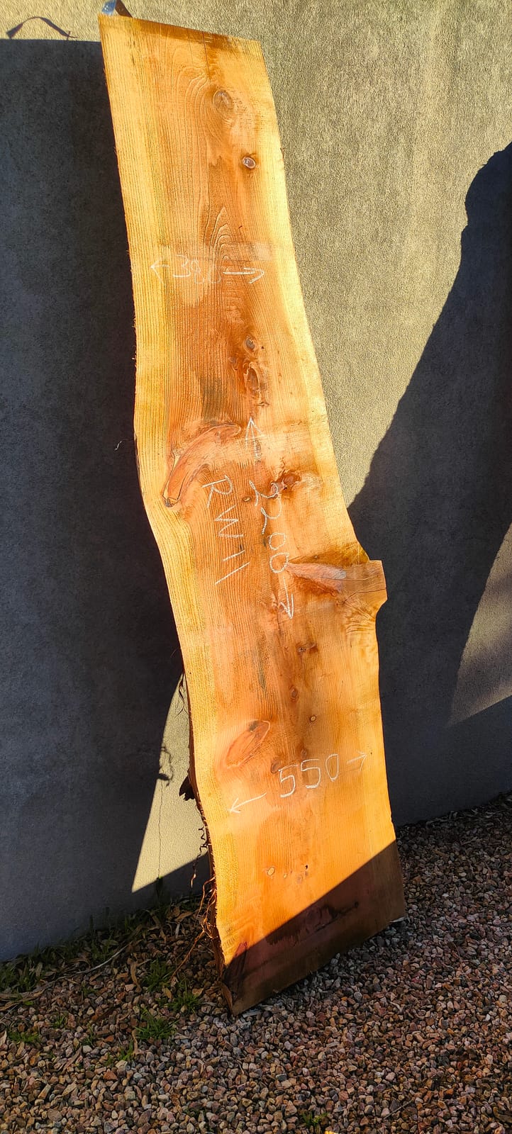 Redwood timber slab RW11