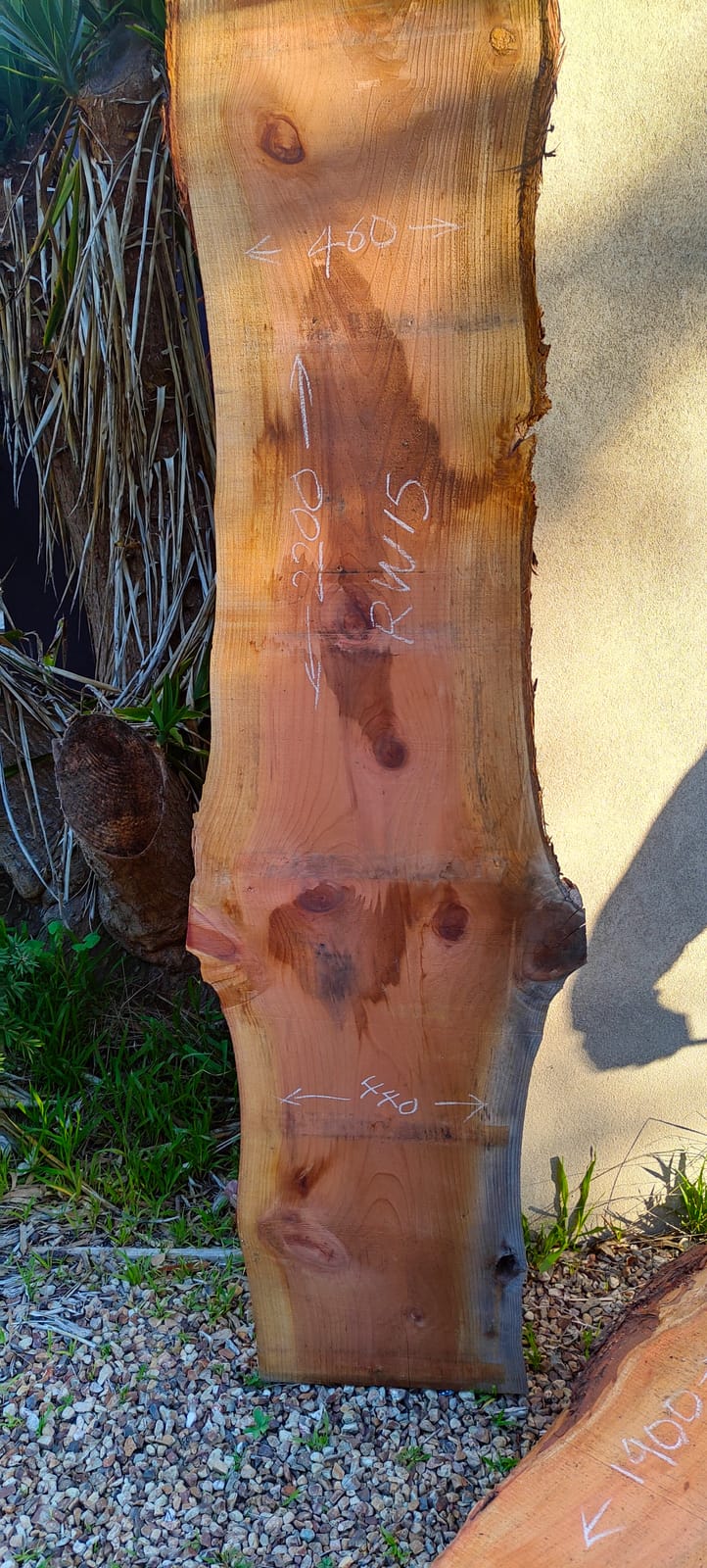 Redwood timber slab RW15