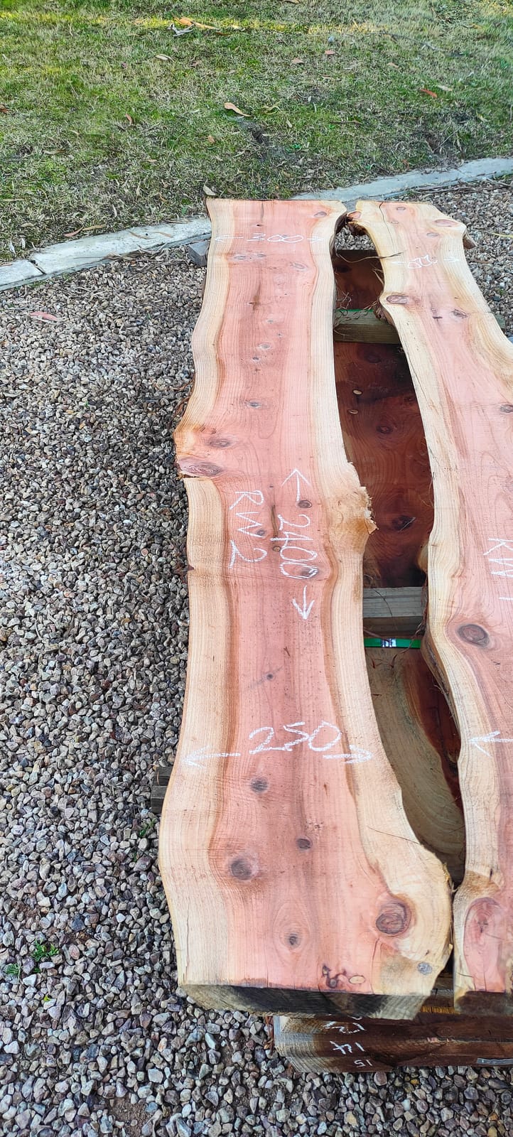 Redwood timber slab RW2