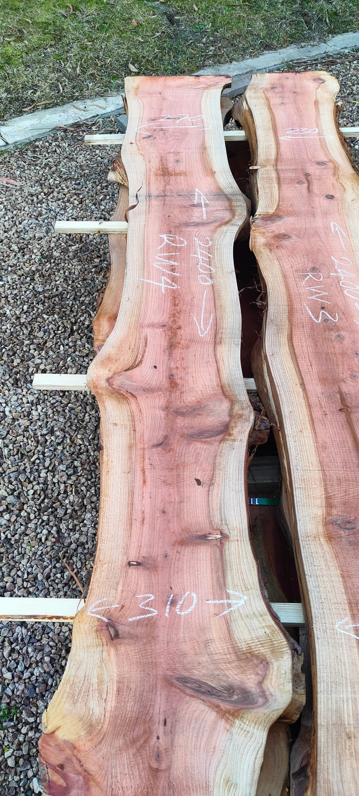 Redwood timber slab RW4