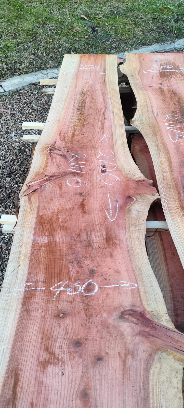 Redwood timber slab RW6
