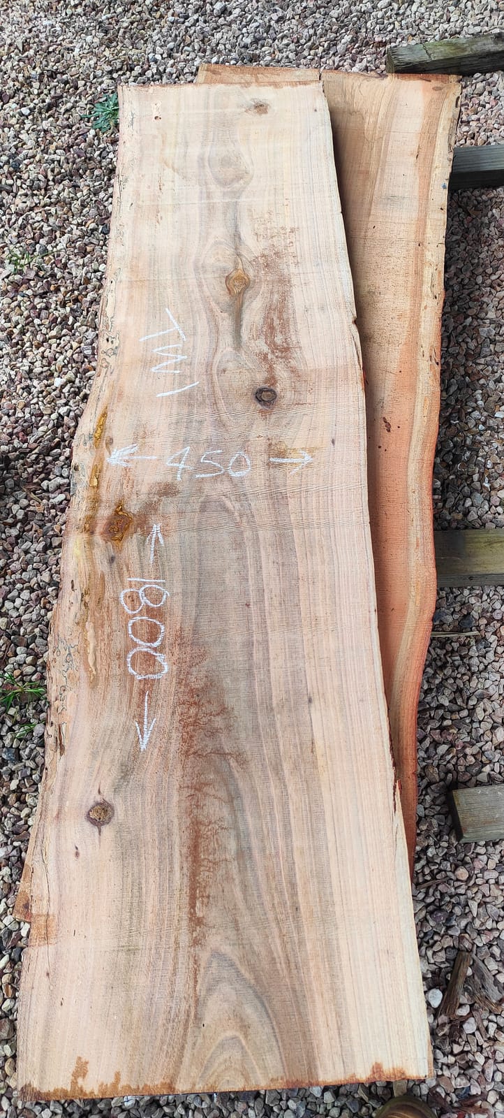 Tasmanian Wattle timber slab TW1