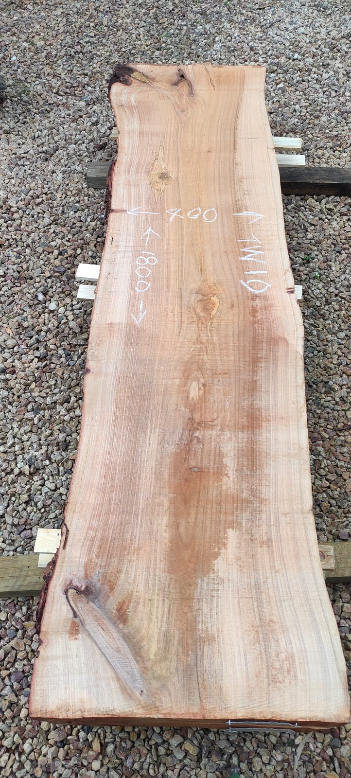 Tasmanian Wattle timber slab TW10