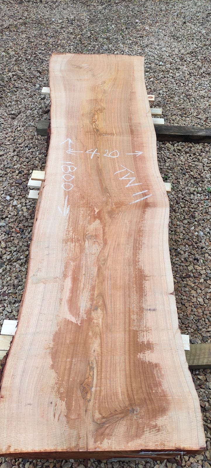 Tasmanian Wattle timber slab TW11