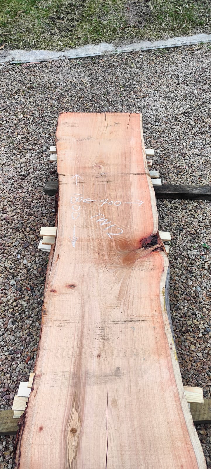 Tasmanian Wattle timber slab TW12