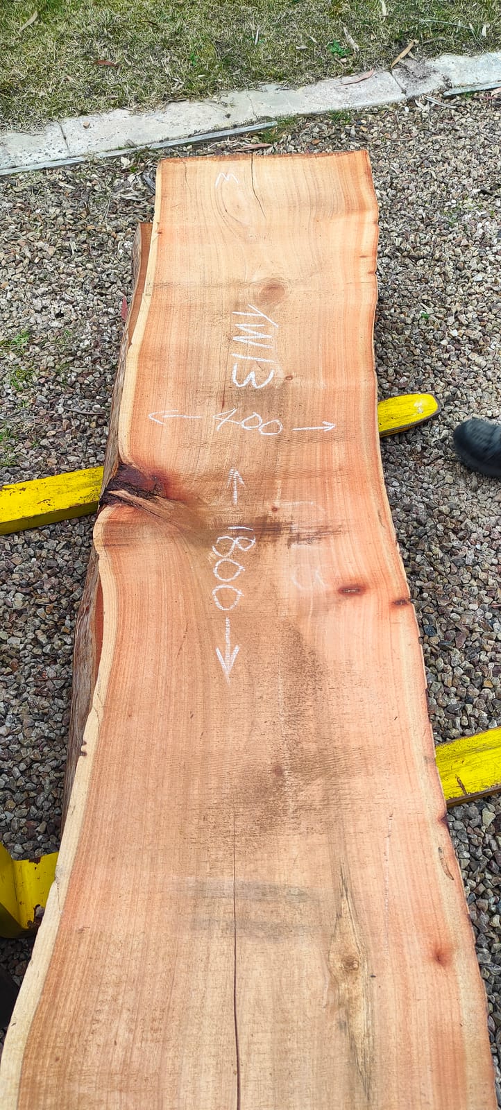 Tasmanian Wattle timber slab TW13