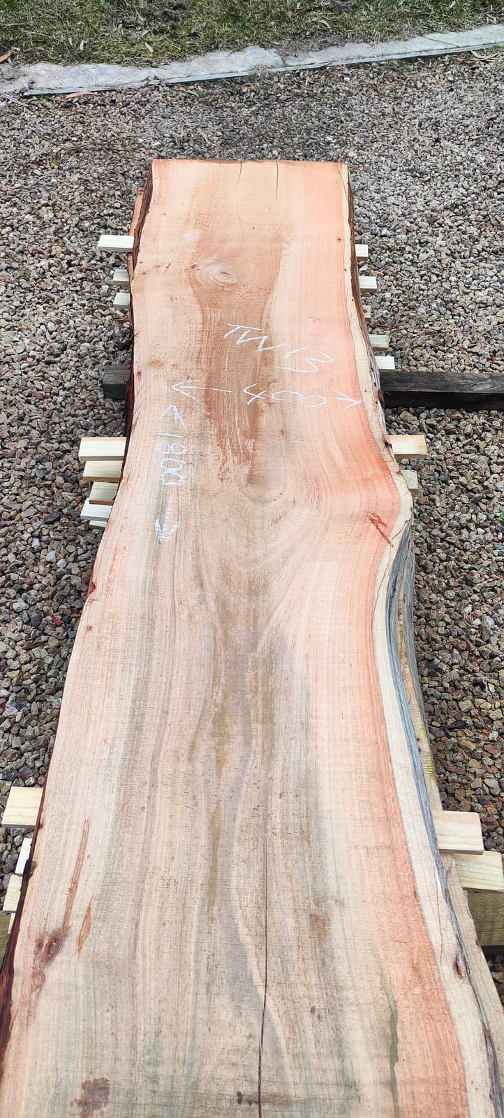 Tasmanian Wattle timber slab TW13A