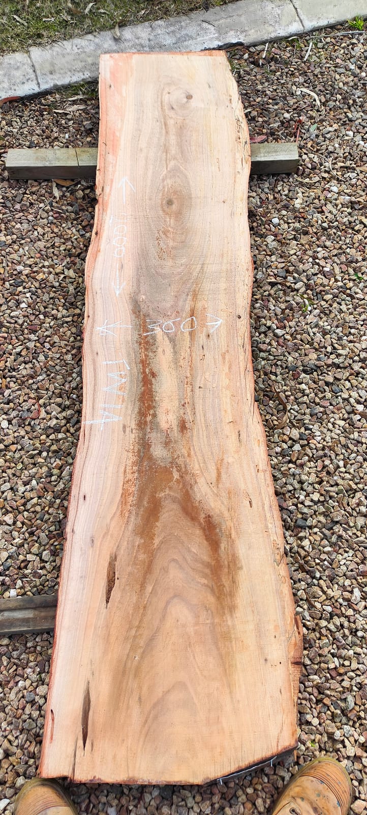 Tasmanian Wattle timber slab TW14