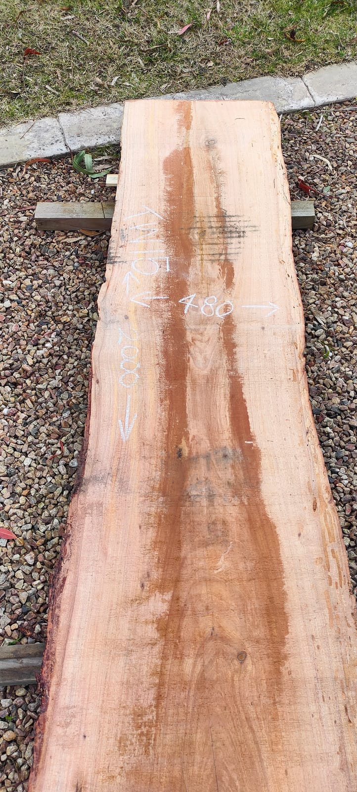 Tasmanian Wattle timber slab TW15