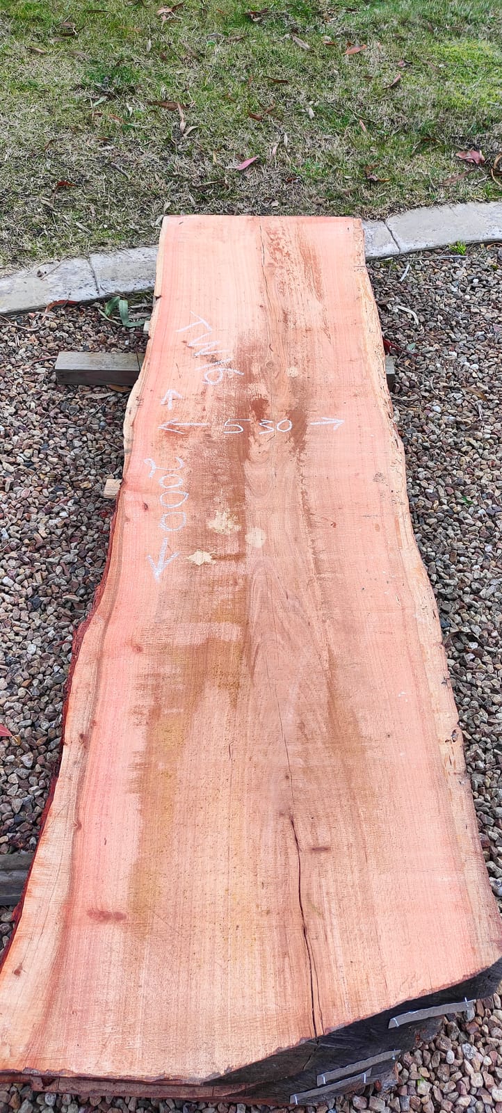 Tasmanian Wattle timber slab TW16