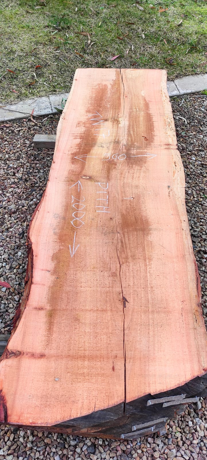 Tasmanian Wattle timber slab TW17