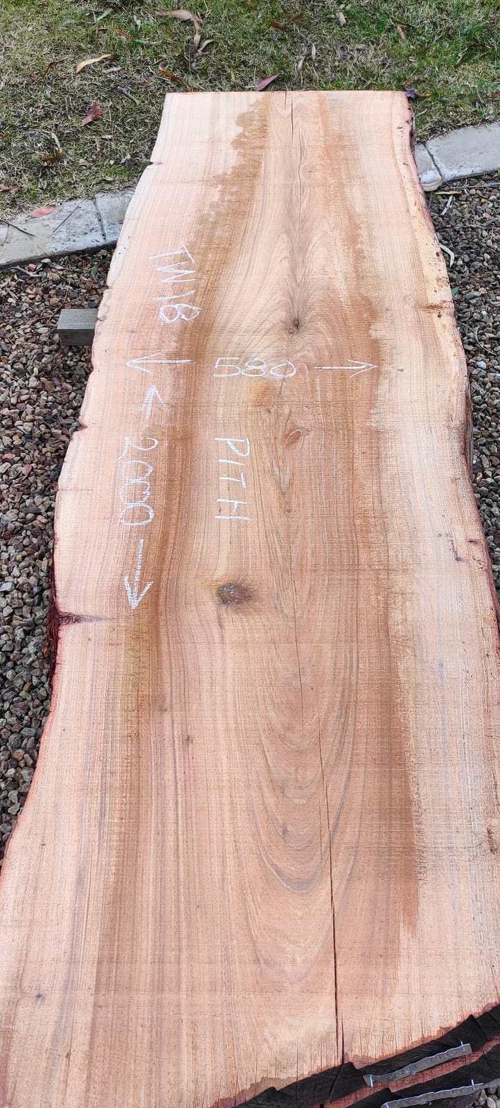Tasmanian Wattle timber slab TW18