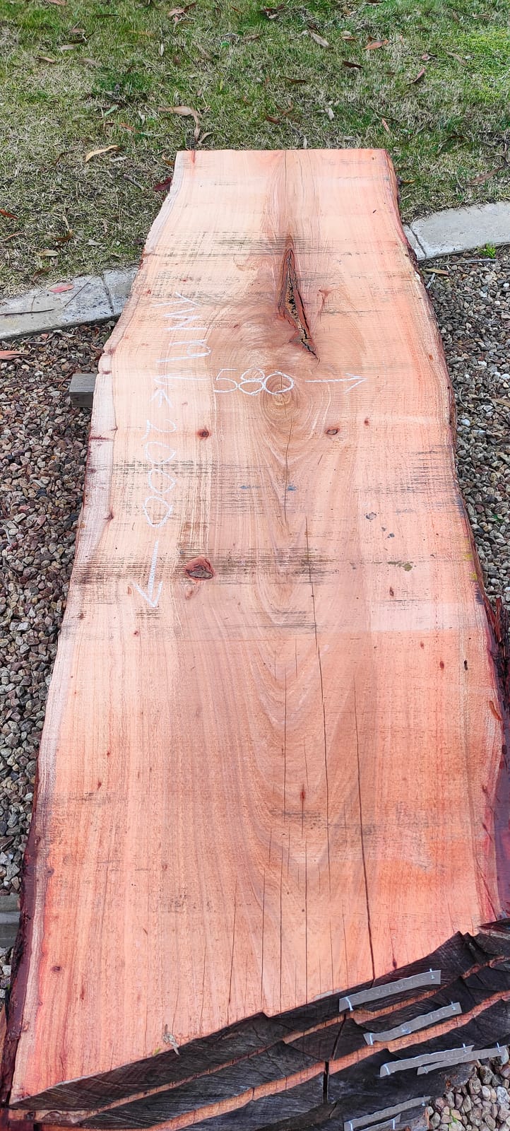 Tasmanian Wattle timber slab TW19