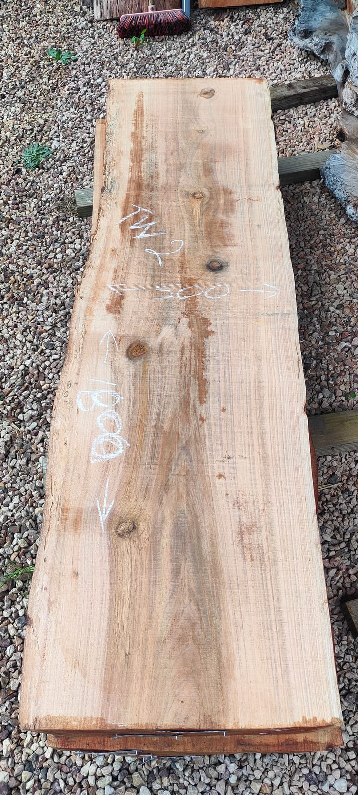 Tasmanian Wattle timber slab TW2