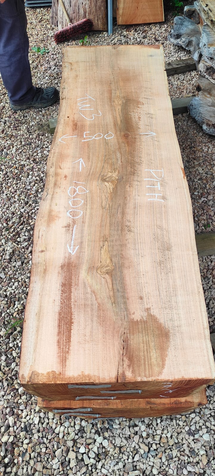 Tasmanian Wattle timber slab TW3