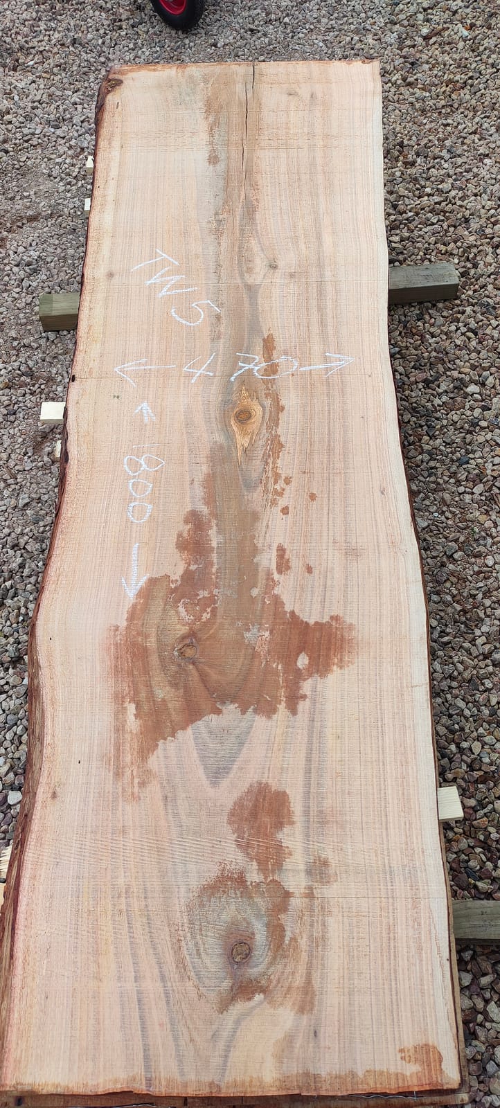 Tasmanian Wattle timber slab TW5