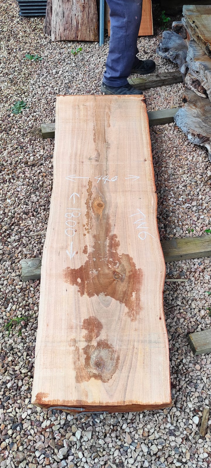 Tasmanian Wattle timber slab TW6