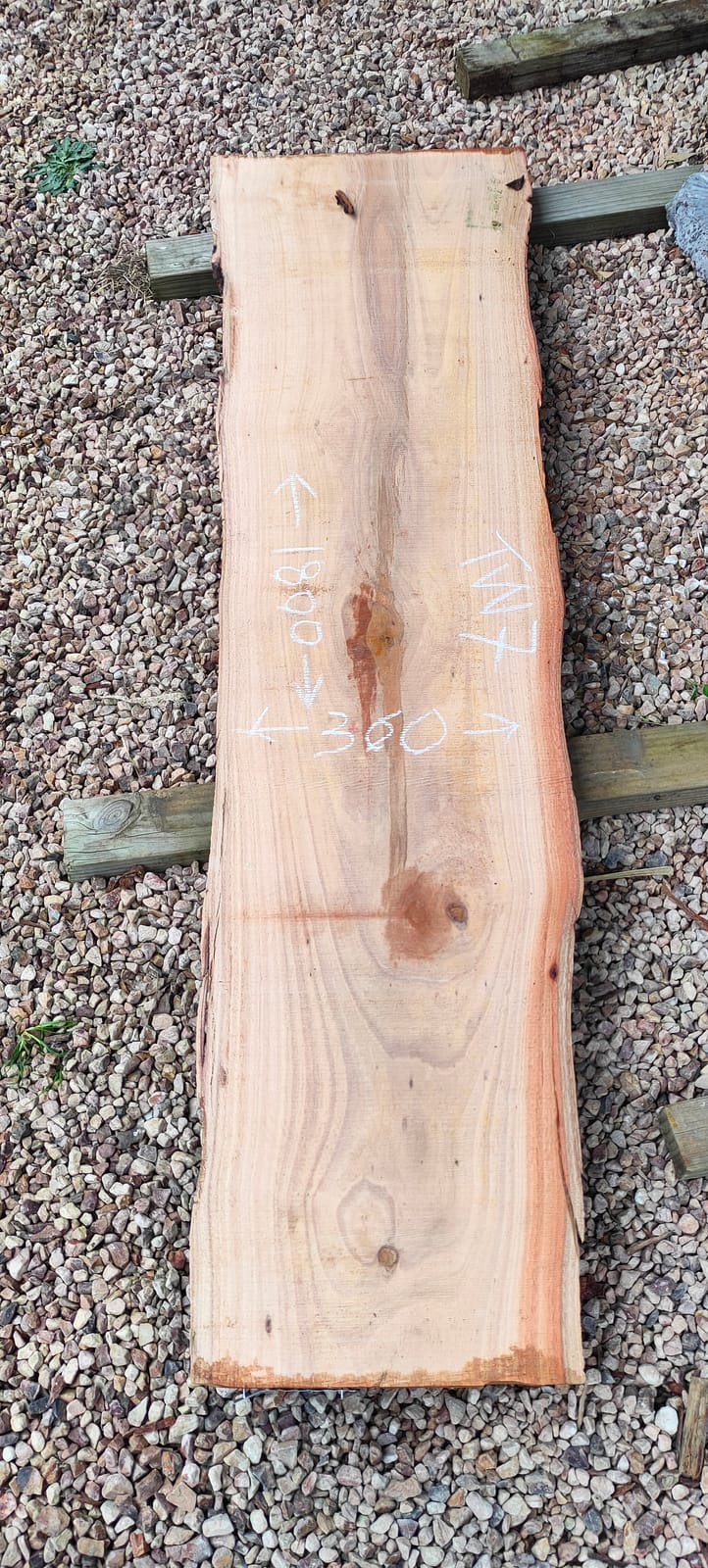 Tasmanian Wattle timber slab TW7