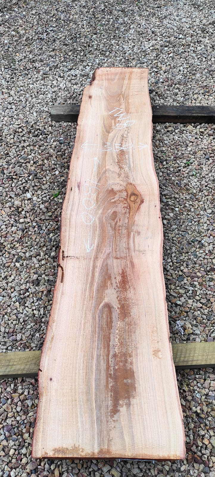 Tasmanian Wattle timber slab TW8