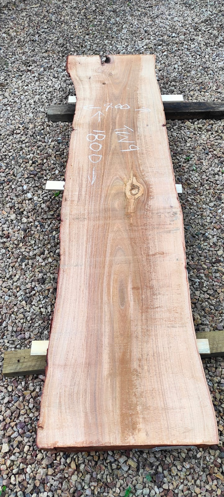 Tasmanian Wattle timber slab TW9